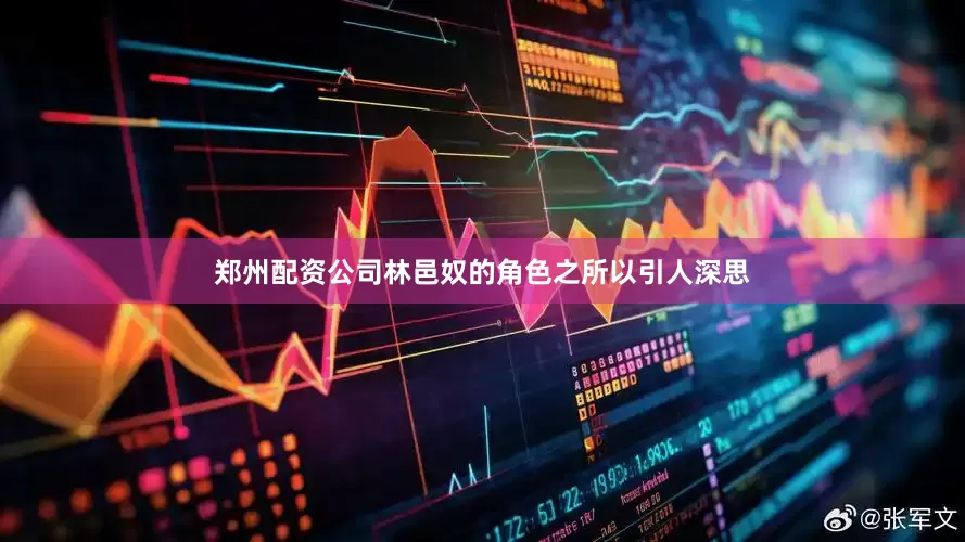 郑州配资公司林邑奴的角色之所以引人深思