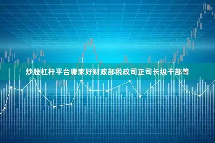 炒股杠杆平台哪家好财政部税政司正司长级干部等