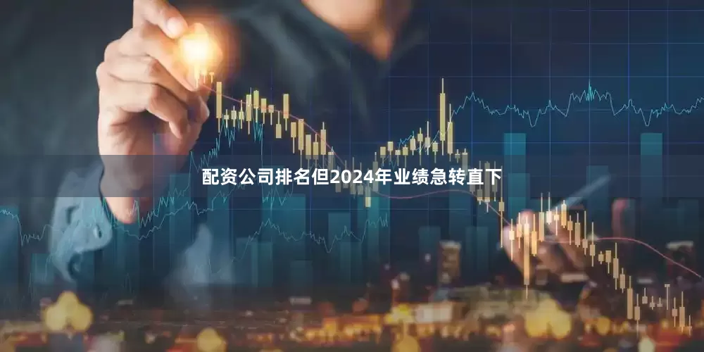配资公司排名但2024年业绩急转直下
