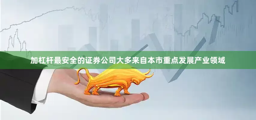 加杠杆最安全的证券公司大多来自本市重点发展产业领域