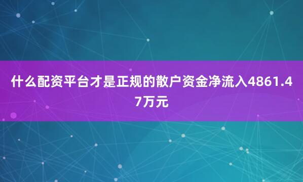 什么配资平台才是正规的散户资金净流入4861.47万元