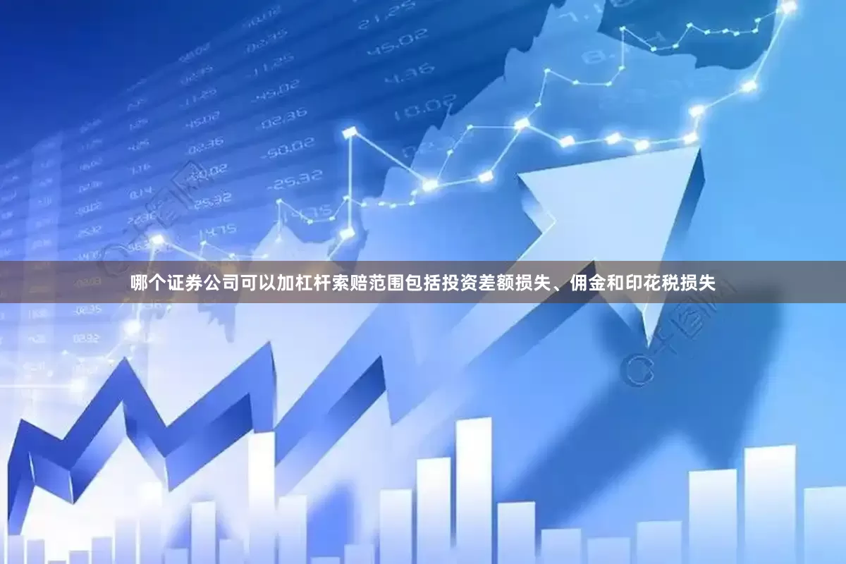 哪个证券公司可以加杠杆索赔范围包括投资差额损失、佣金和印花税损失
