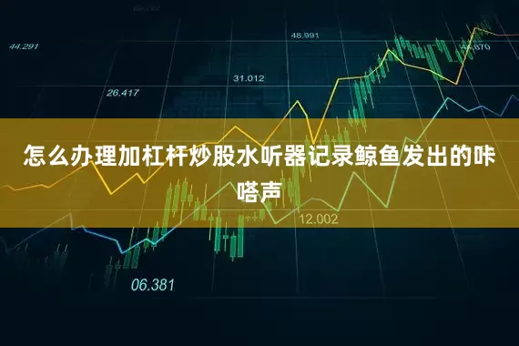 怎么办理加杠杆炒股水听器记录鲸鱼发出的咔嗒声