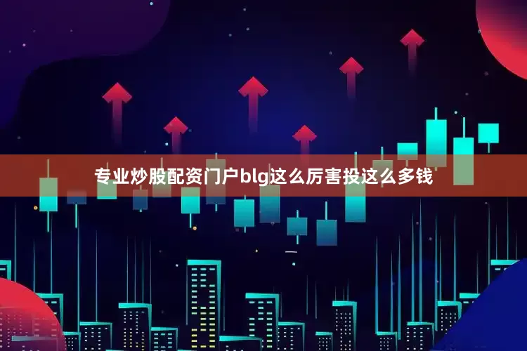 专业炒股配资门户blg这么厉害投这么多钱