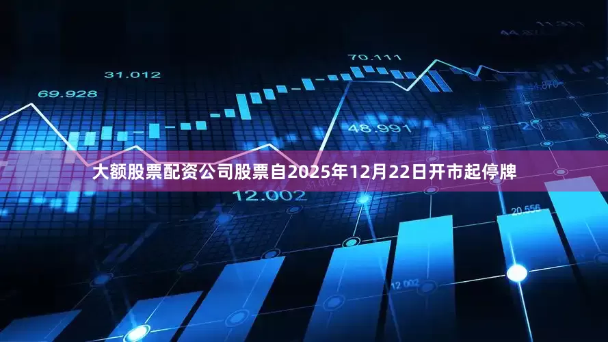 大额股票配资公司股票自2025年12月22日开市起停牌